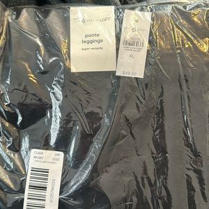 New! Loft Lou and Grey ponte leggings